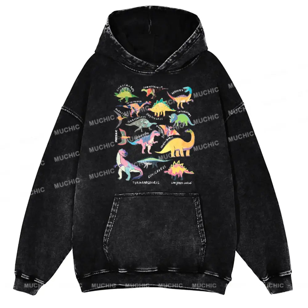 Types Of Dinosaur Unisex Printed Casual Washed Hoodie Sweatshirt Black / M