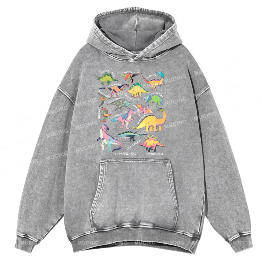 Types Of Dinosaur Unisex Printed Casual Washed Hoodie Sweatshirt Grey / M